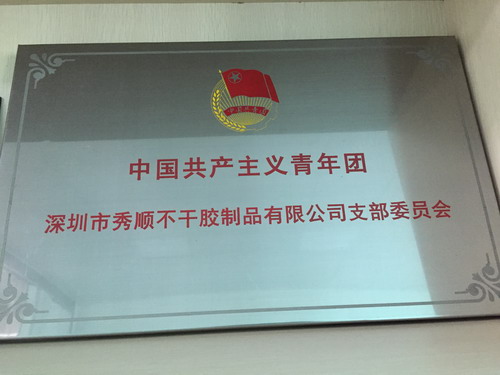 中國共產主義青年團支部委員會